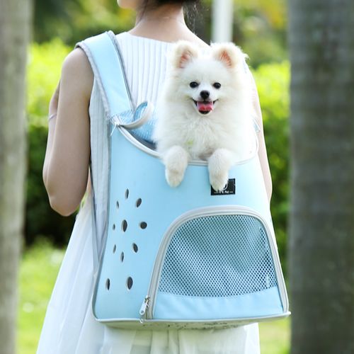 時尚寵物用品,讓你家里的寶貝美美的