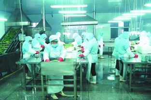 國內(nèi)最成功的 山寨 認(rèn)為正品質(zhì)量太差,因此收購正品公司