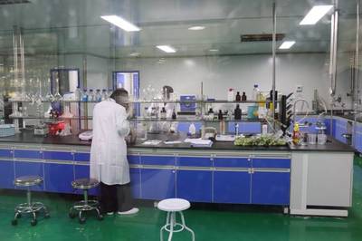 日處理300噸鮮梅、生產(chǎn)6款青梅酒,陸河青梅產(chǎn)業(yè)園正式投入使用